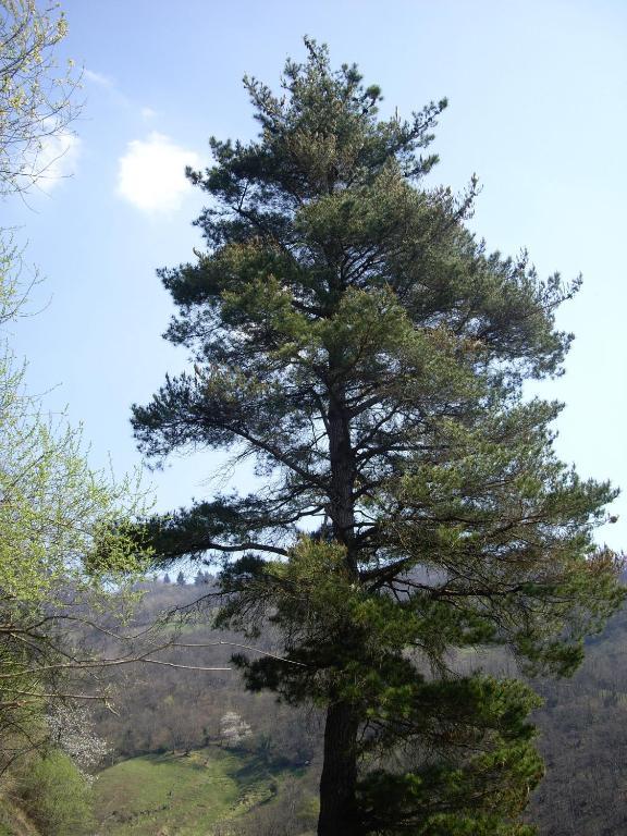 El Cobijo De Villar Mieres  Exteriér fotografie